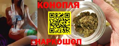 мяу мяу мука Кулебаки
